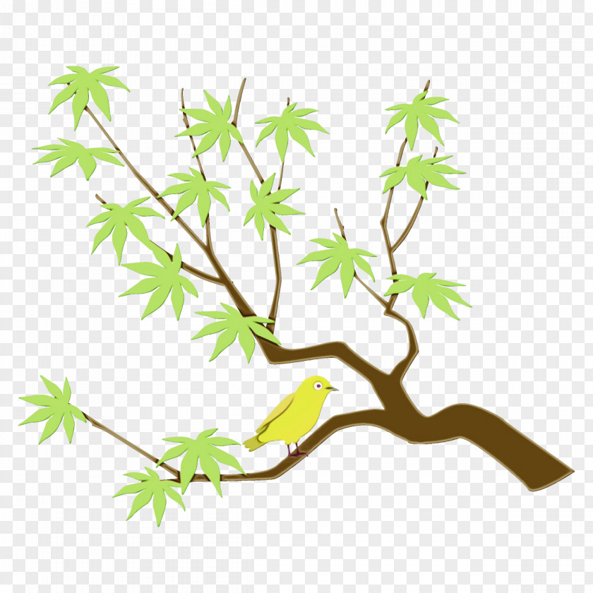 Twig American Larch Branch Leaf Plant Tree Stem PNG