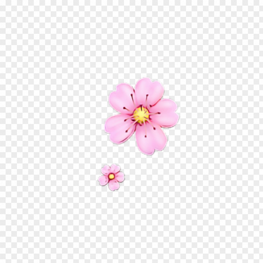 Wildflower Plant Cherry Blossom Background PNG