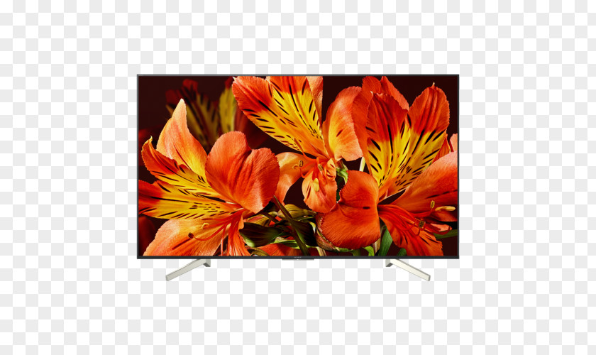 Sony LED-backlit LCD 4K Resolution Smart TV Ultra-high-definition Television PNG