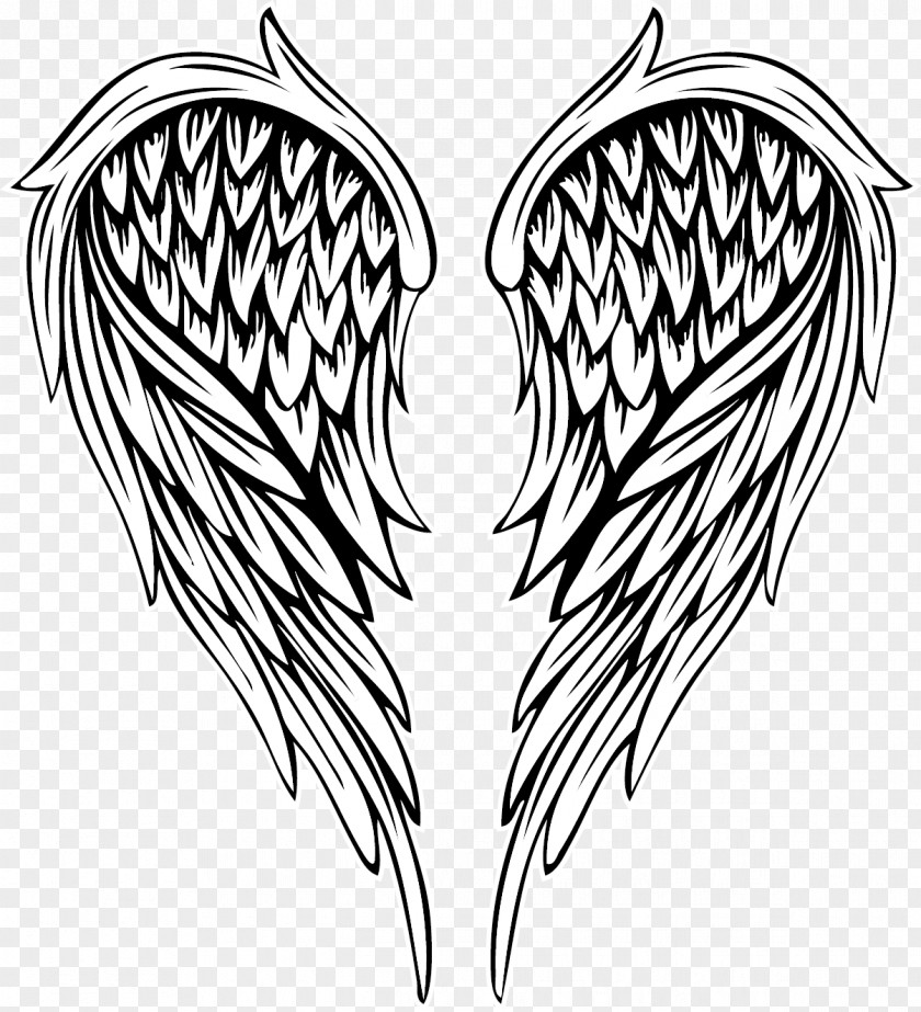 Vector Painted Feather Angel Wings Drawing Illustration PNG