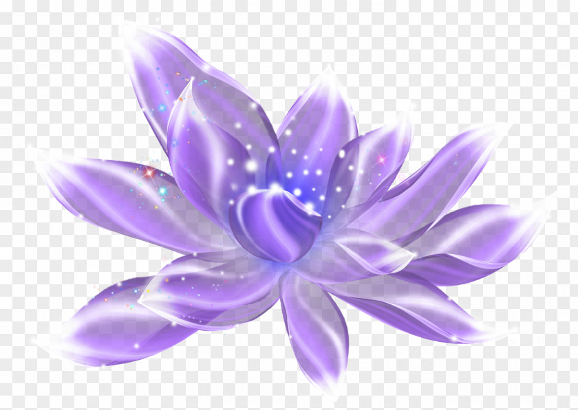 Violet Flowers Light Purple PNG