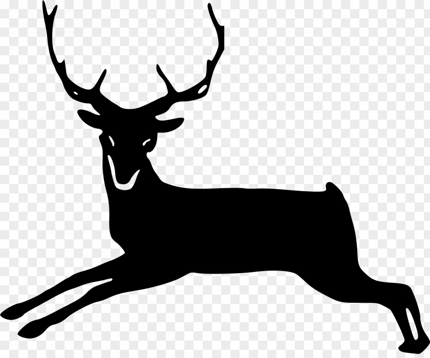 Animal Silhouettes Deer White-tailed Elk Moose Clip Art PNG