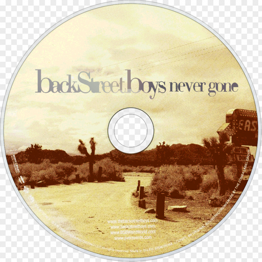 Backstreet Boys Never Gone Tour Compact Disc Backstreet's Back PNG