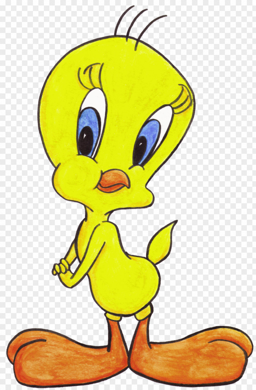 Bird Cartoon Tweety Fred Flintstone Barney Rubble Betty Sylvester PNG