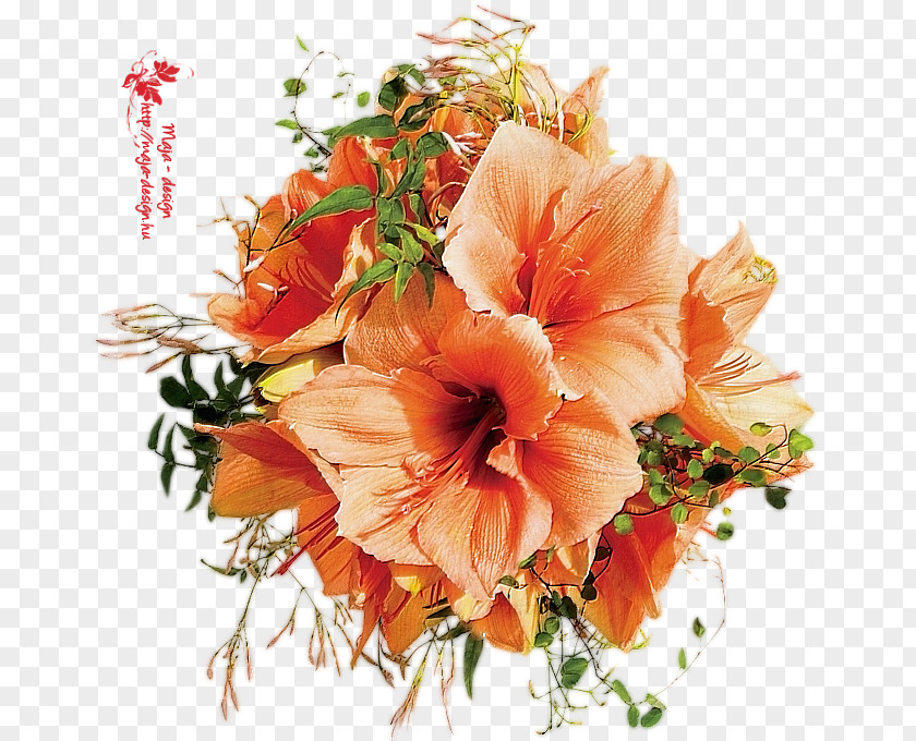 Flower Bouquet Cut Flowers Clothing Spring PNG