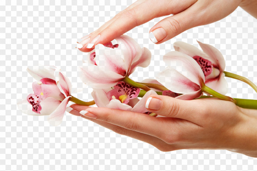 Holding Fresh Bouquet Nail Salon Beauty Parlour Canvas Print PNG