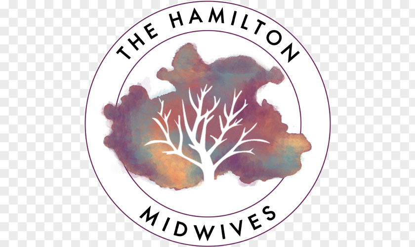 Postpartum The Hamilton Midwives Childbirth Midwife Health Care PNG