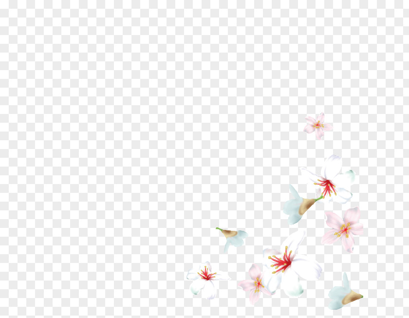 Cherry Blossom Desktop Wallpaper Flowering Plant ST.AU.150 MIN.V.UNC.NR AD PNG