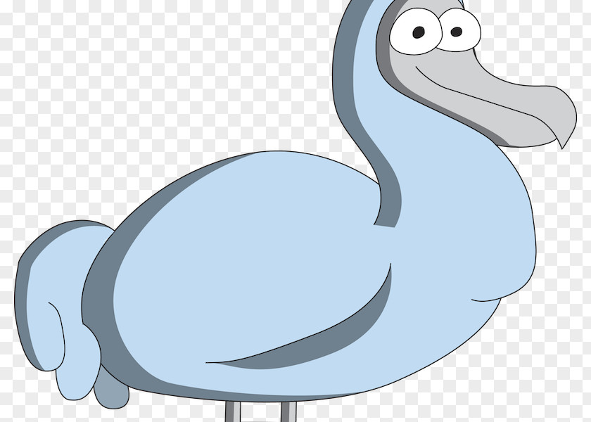 Duck Cygnini Flightless Bird PNG