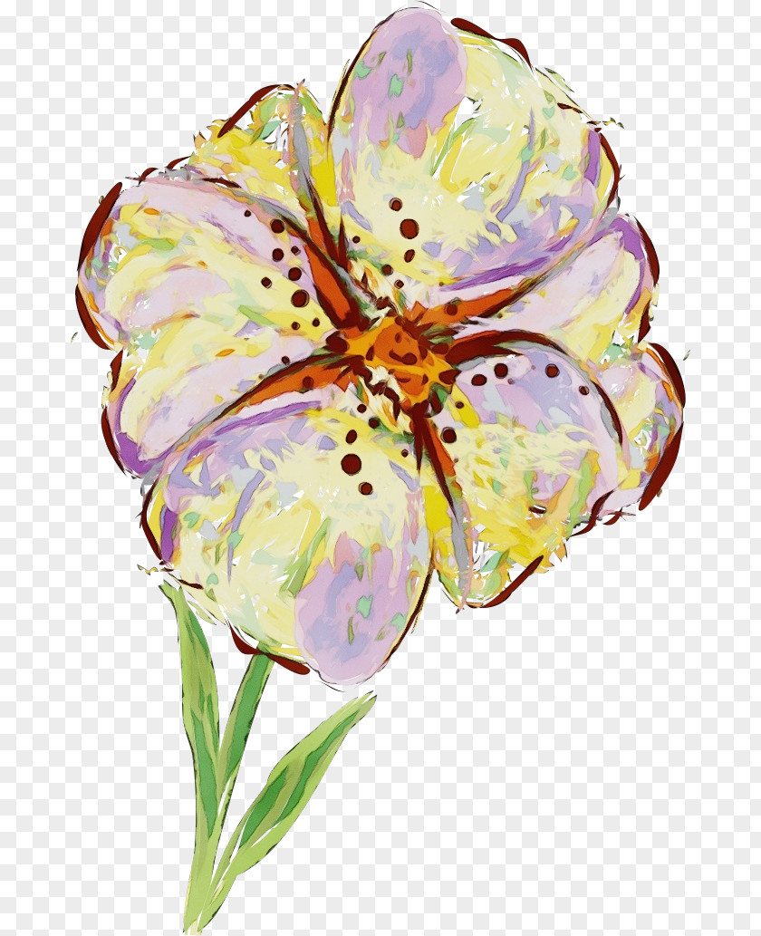 Flower Cut Flowers Watercolor Paint Plant Petal PNG