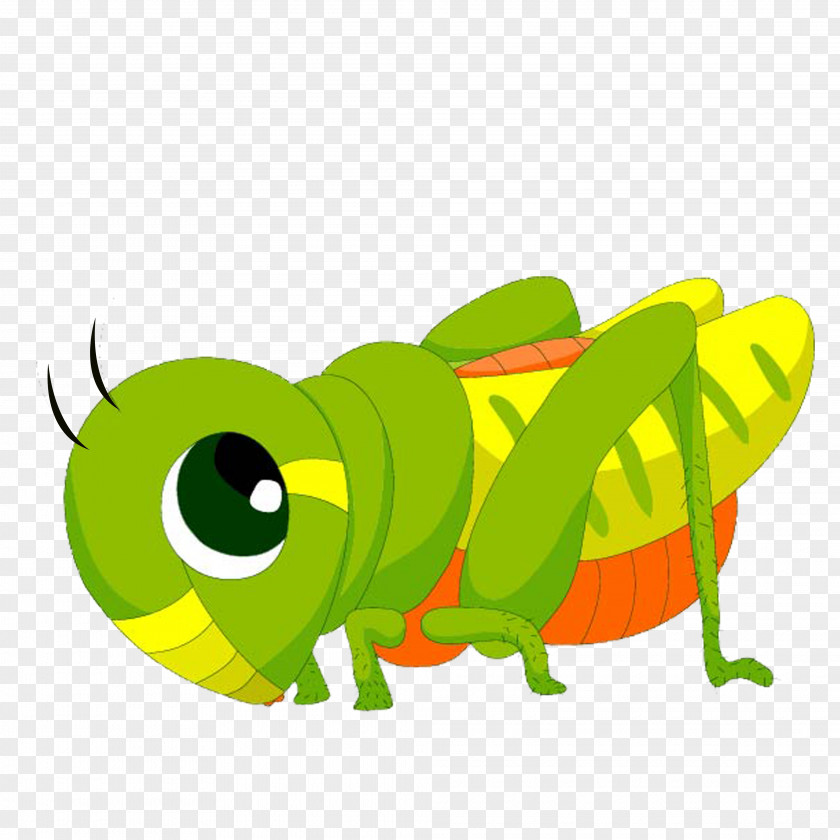 Grasshopper Plagues Of Egypt Locust Stock Photography Clip Art PNG