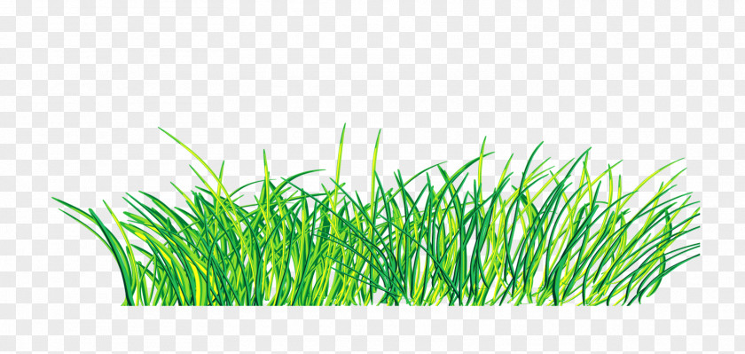 Hand Painted Green Grass Decoration Pattern Clip Art PNG