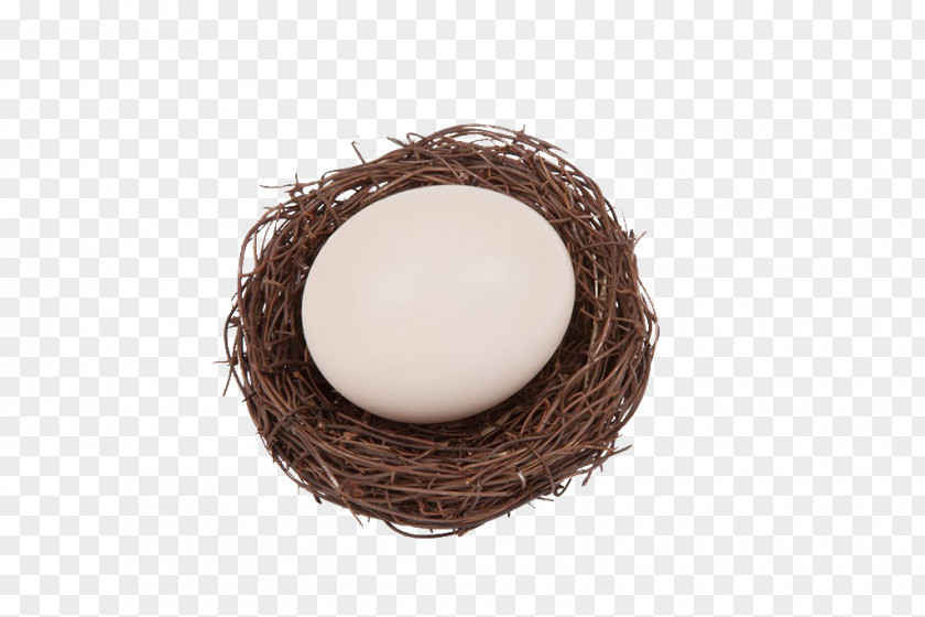 Haystack Nest PNG