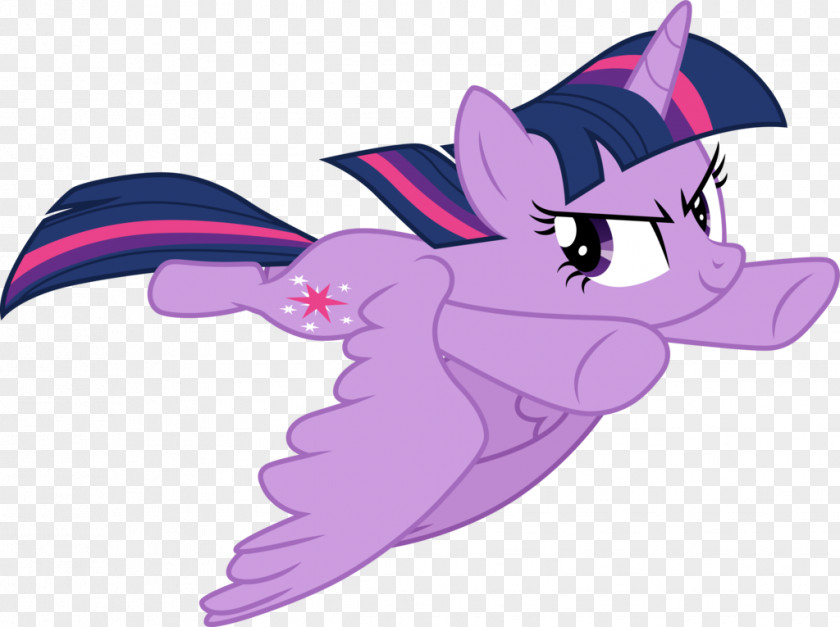 Princess Twilight Sparkle Pony Rarity Fluttershy DeviantArt PNG
