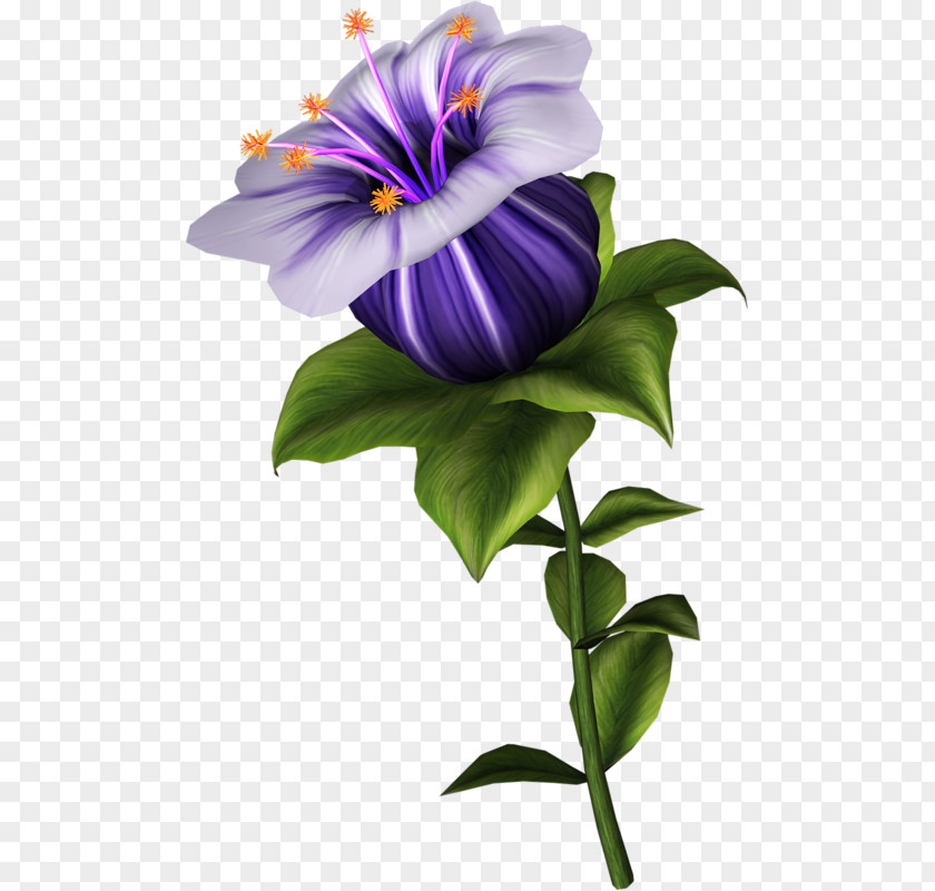 Purple Rainbow Roses Bouquet Flower Clip Art Image Floral Design PNG