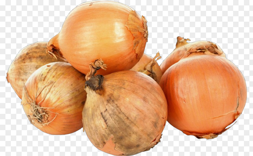 Yellow Onion Food Shallot Vegetable PNG