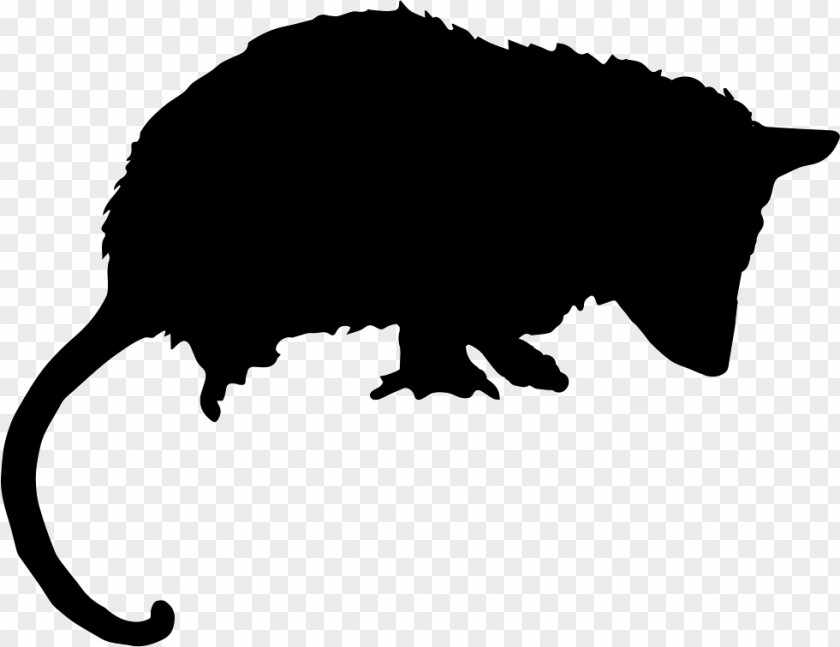 Animal Silhouettes Opossum Drawing Silhouette PNG