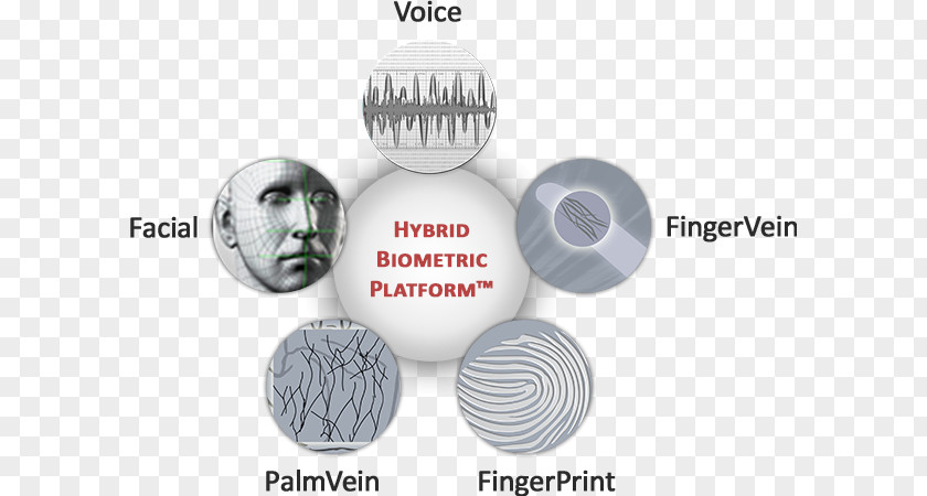 Biometrics M2SYS Technology Iris Recognition Automatic Identification And Data Capture PNG