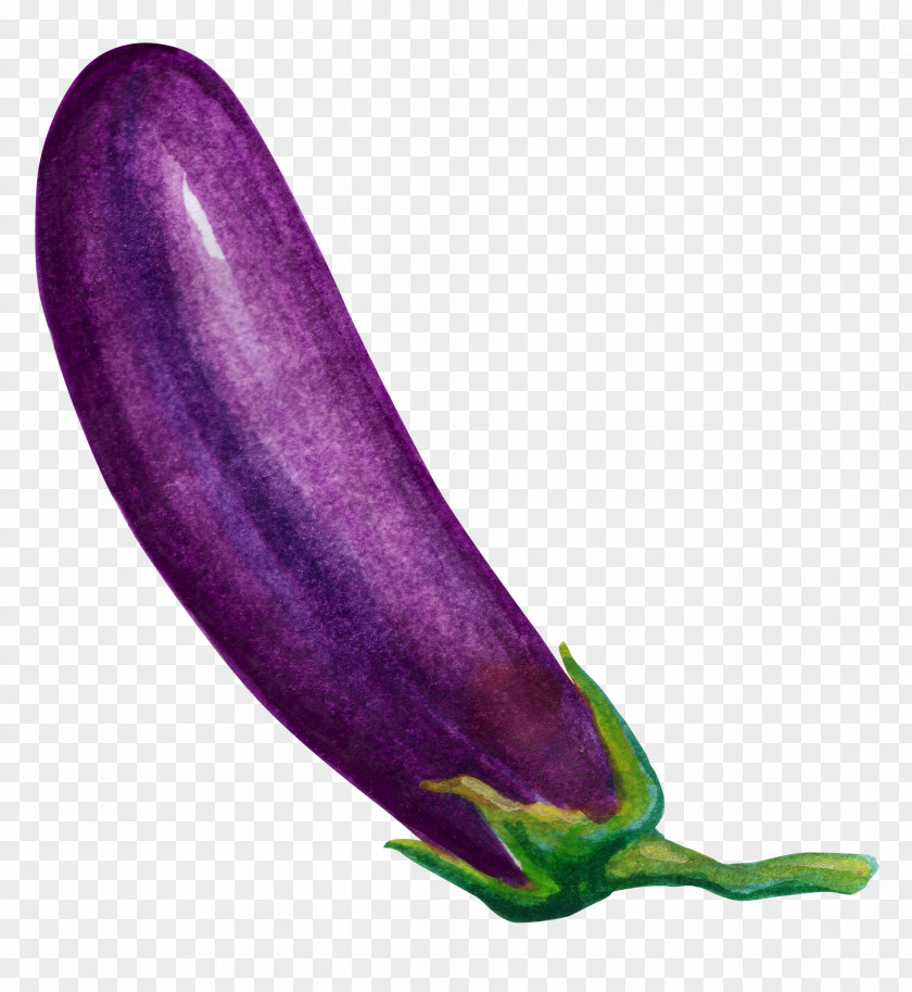 Cartoon Eggplant Vegetable PNG