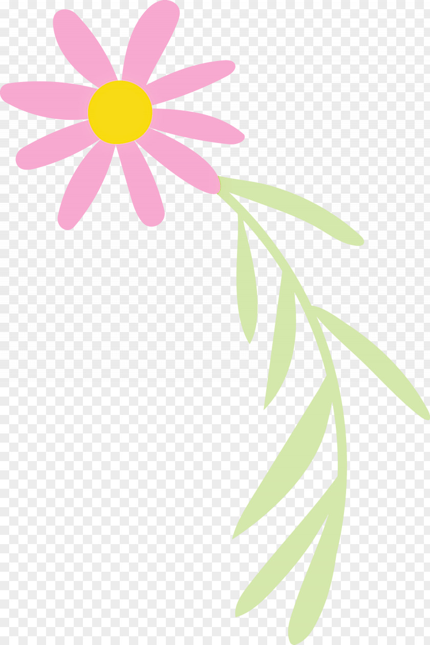 Floral Design PNG