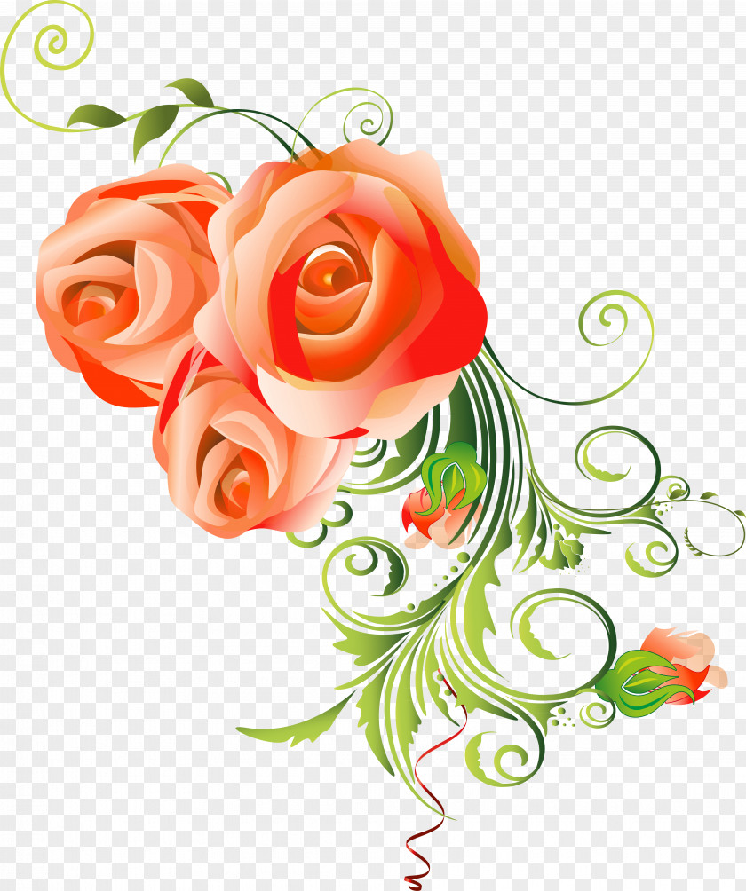 Flower Garden Roses Floral Design Cut Flowers Ornament PNG