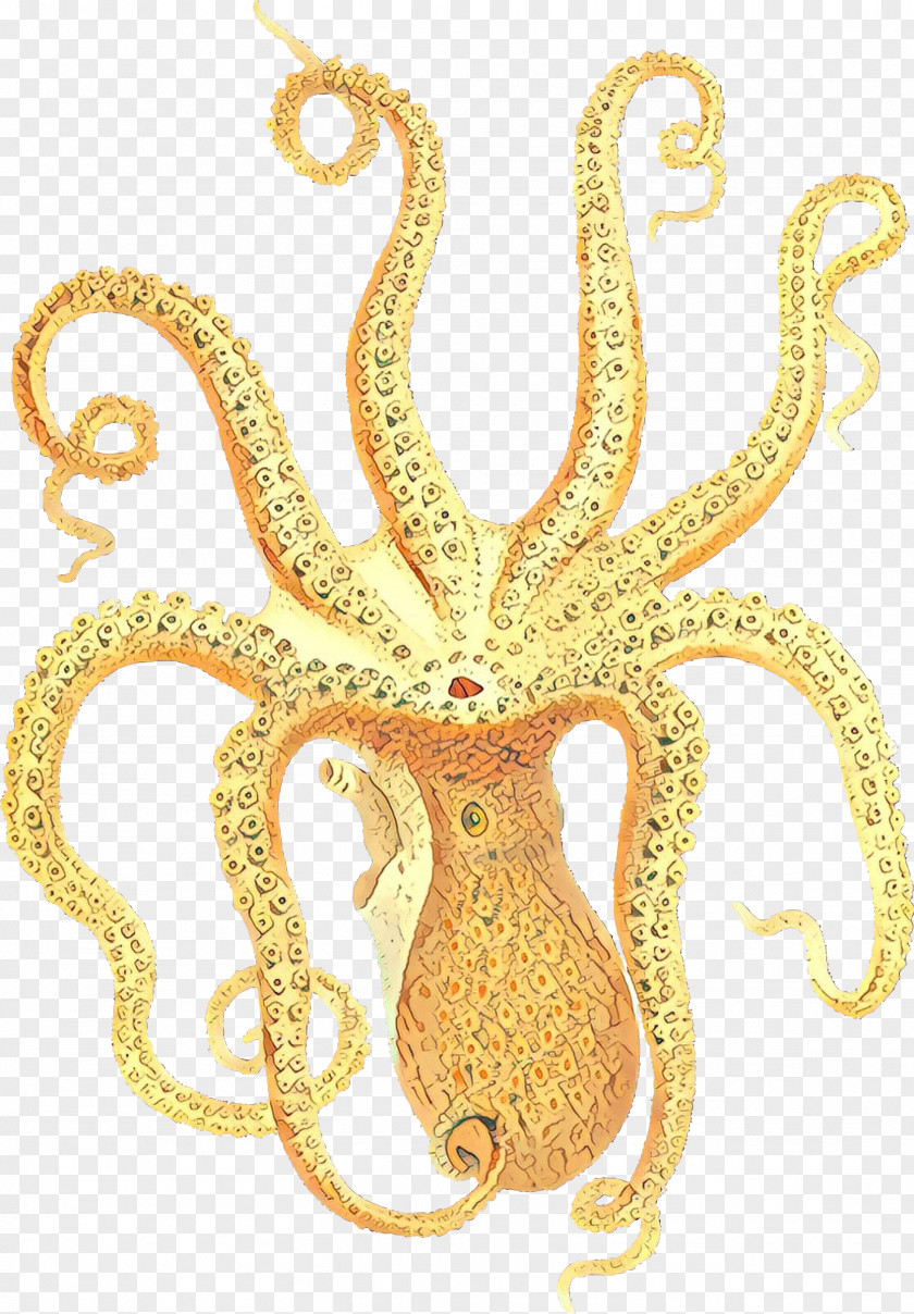 Octopus Illustration Poster Soap Factory Of Bagnolet Art PNG