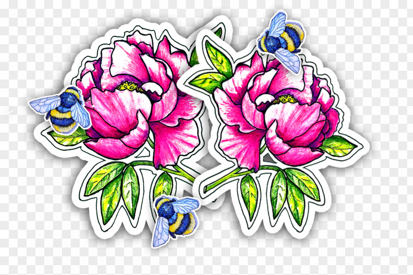 Peony Design Floral Cut Flowers Rosaceae PNG