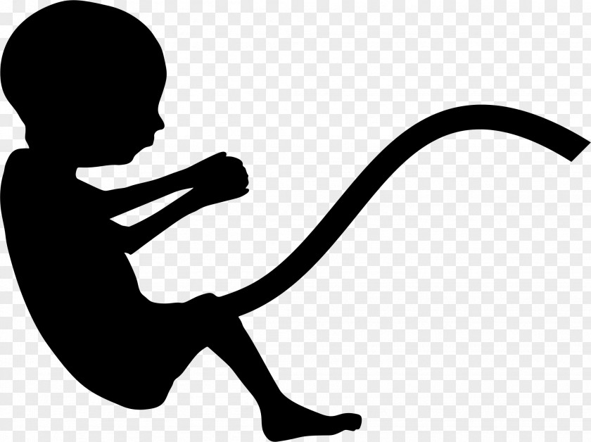 Sillhouette Fetus Pregnancy Infant Silhouette PNG