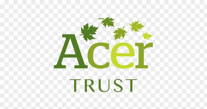 Acer Logo Font Brand Product Leaf PNG