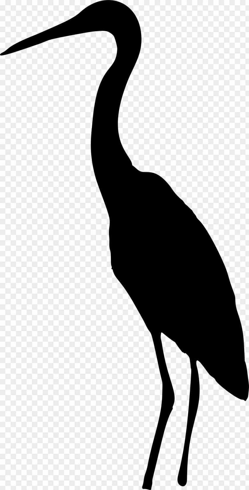 Bird Great Blue Heron Animal Silhouettes PNG