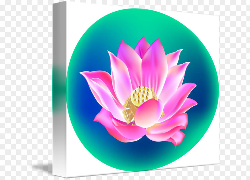 Chinese New Year Nelumbo Nucifera Desktop Wallpaper Computer Petal PNG