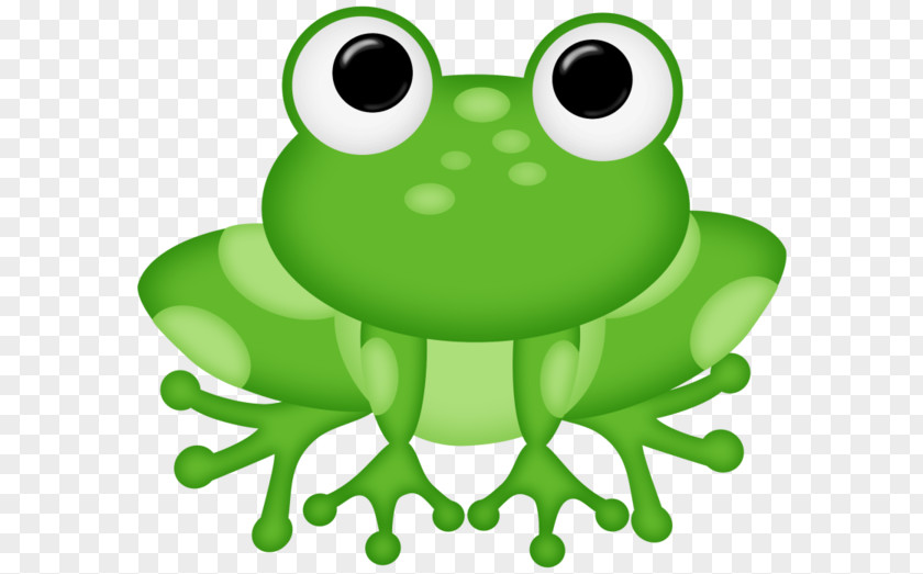 Green Frogs Edible Frog Cuteness Clip Art PNG