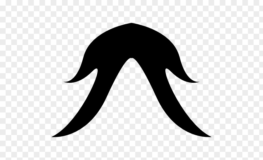 Mustache Moustache Hair PNG