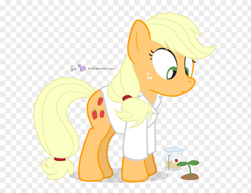 Tshirt T-shirt Hoodie Horse Pony PNG