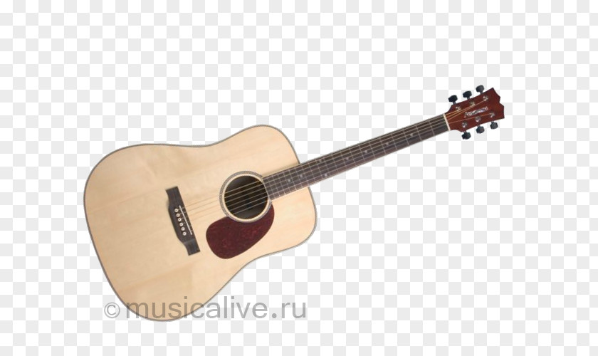 Acoustic Guitar Steel-string Acoustic-electric Bass PNG