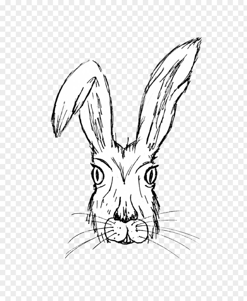 Blackandwhite Snout Rabbit Line Art Head Hare Rabbits And Hares PNG