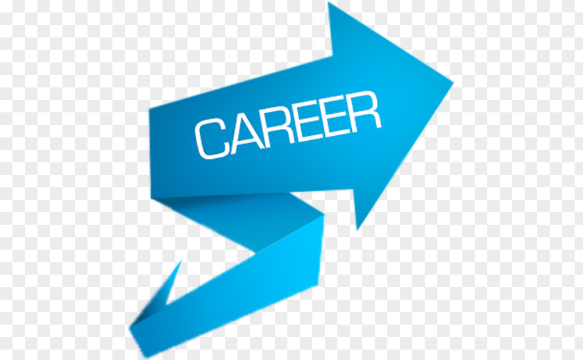 Business Career Job Point Résumé Human Resource Management PNG