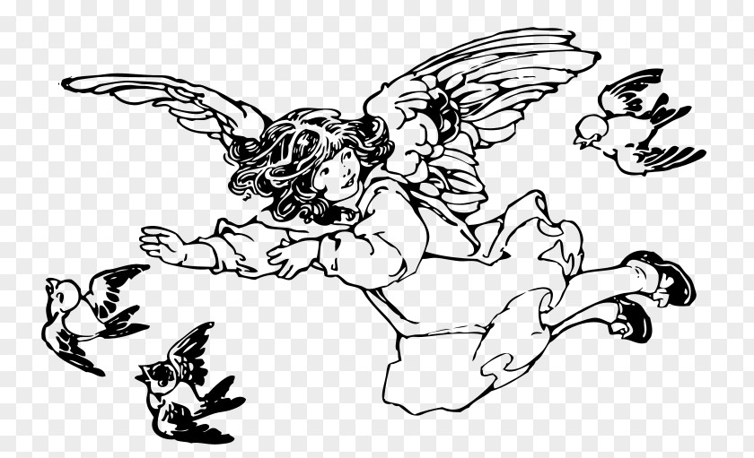 Flying Bird Vector Free Download Drawing Coloring Book Clip Art PNG