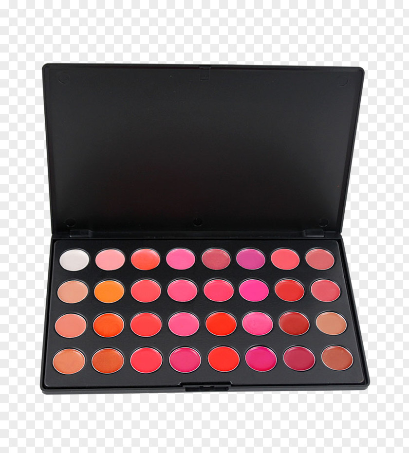 Glossy Butterflys Viseart Eye Shadow Palette Cosmetics Rouge Coastal Scents 28 Piece PL-005 PNG