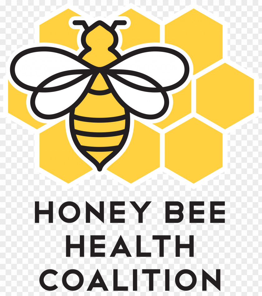 Honey Bee Western Varroa Destructor Health Pollinator PNG
