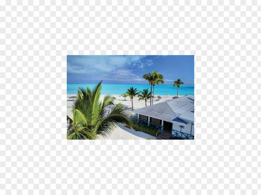Treasure Island Media Green Turtle Cay Hope Town Hilton At Resorts World Bimini Big Joe Downer PNG