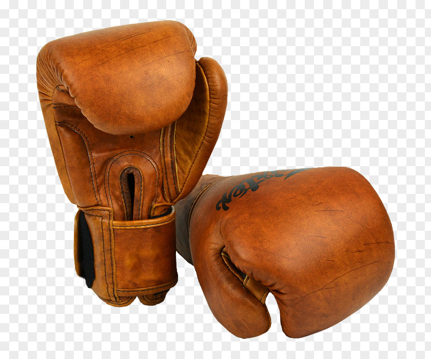 Boxing Glove Muay Thai Fairtex PNG