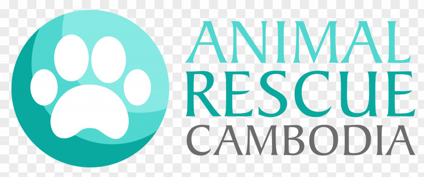 Cambodia Animal Rescue Dog Feral Cat Group PNG