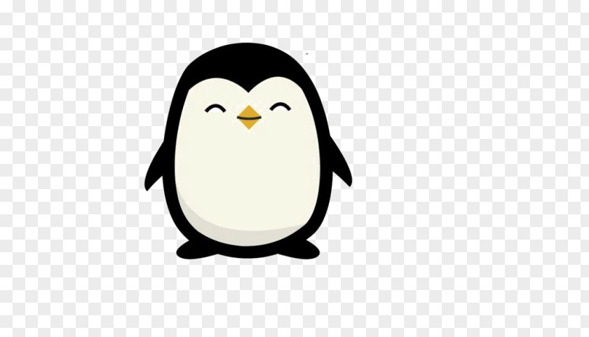 Cartoon Penguin Drawing PNG