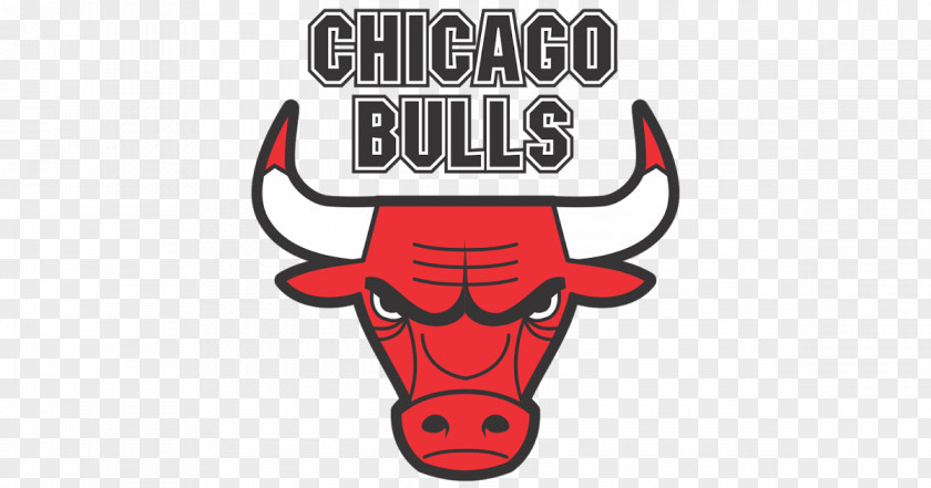 Chicago Bulls Logo Vector Graphics NBA PNG