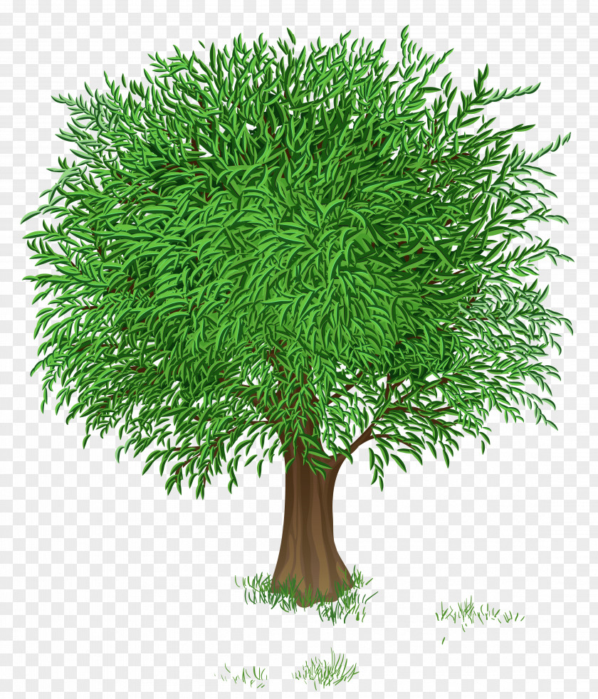 Green Tree Transparent Clipart Picture Flower Blossom Clip Art PNG