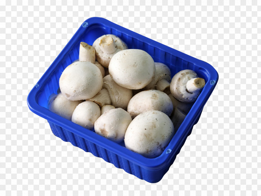 The Basket Of Mushrooms Common Mushroom Shiitake PNG
