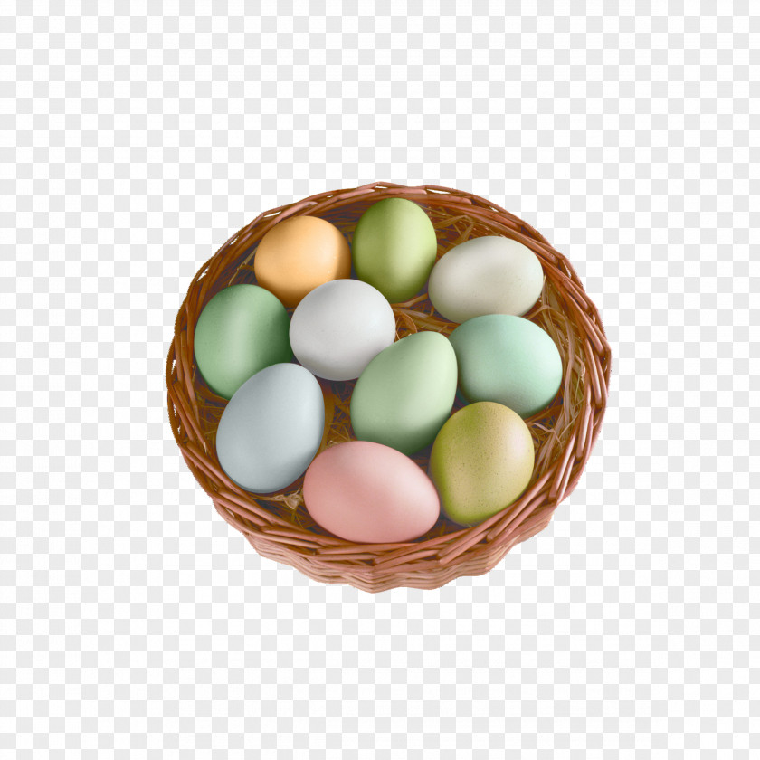Colored Eggs Chicken Egg PNG