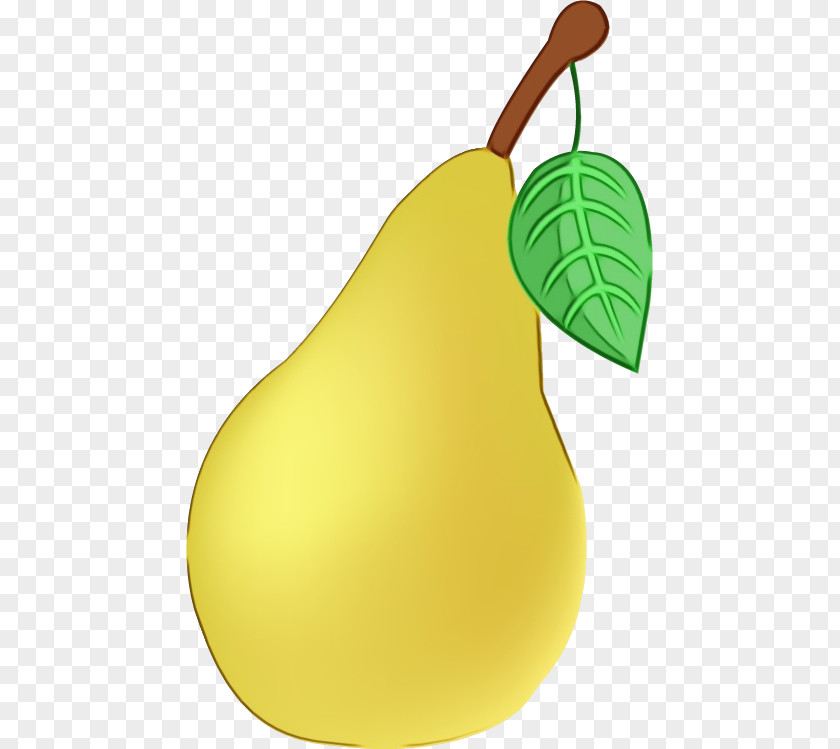 Fruit Tree Woody Plant PNG