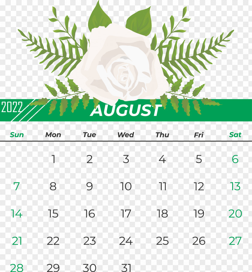 Leaf Line Font Calendar Green PNG